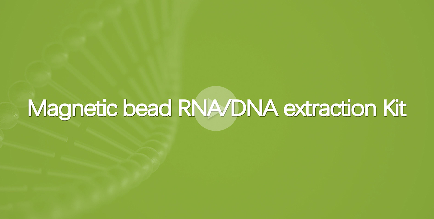 Magnetic Bead DNA Extraction Kit