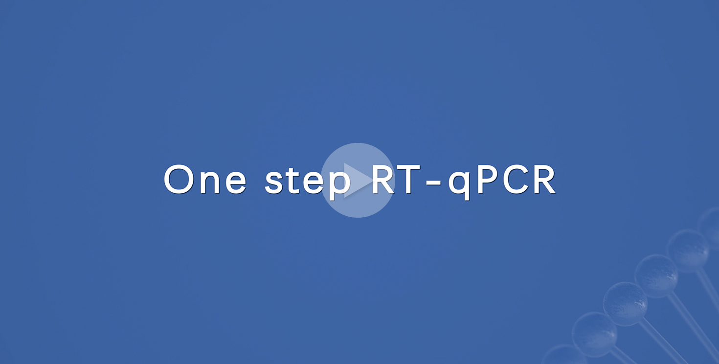 One Step RT-qPCR (High performance CoV-19 detection mix)